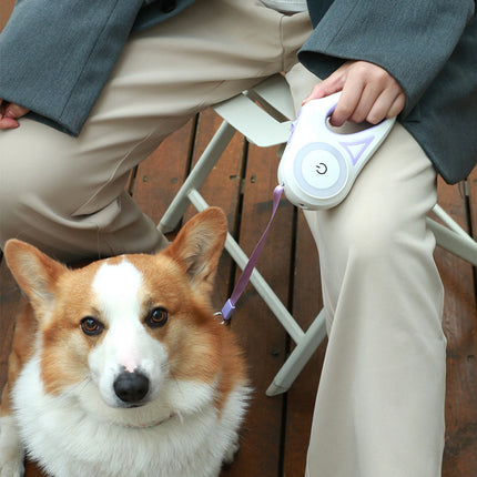 Dog Leash Retractable Leash And Dog Collar Spotlight Automatic Pet Dog Cat Traction Rope For Small Medium Dogs Pet Product - 𝓢𝓱𝓸𝓹𝓵𝓮𝓬𝔂