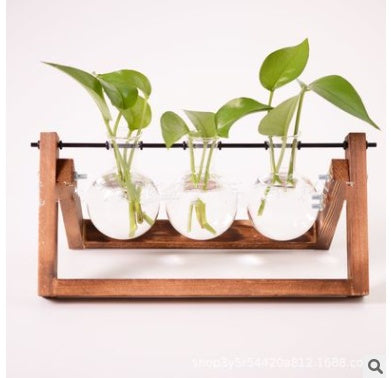 Glass Wood Vase Table Desktop Hydroponics Plant Stationery Bonsai Flower Pot Decoration Hanging Pots with Wooden Tray Pen Holder - 𝓢𝓱𝓸𝓹𝓵𝓮𝓬𝔂