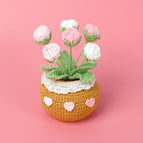 6 Gradient Pink Rose