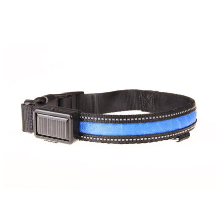 Fluorescent dog collar - 𝓢𝓱𝓸𝓹𝓵𝓮𝓬𝔂