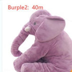 Purple2