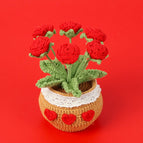 6 Red Roses Potted Plants