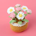 Gradient Pink Rose Daisy