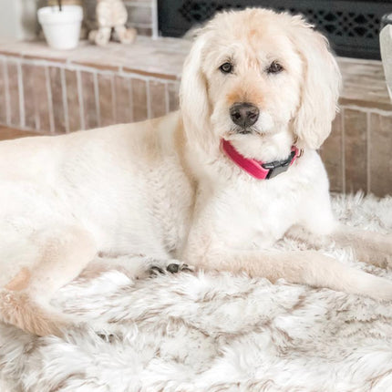 Pet dog plush mat beige mat pet dog rest - 𝓢𝓱𝓸𝓹𝓵𝓮𝓬𝔂