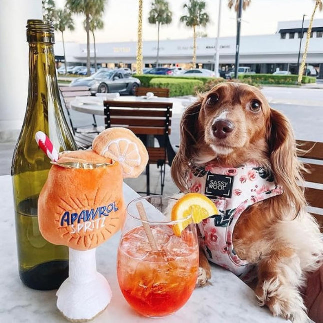 Chew Squeaky Dog Toys Cute Pet Dog Sound Cup Toy Puppy Pet Supplies Interaction Dog Toys Supplies - 𝓢𝓱𝓸𝓹𝓵𝓮𝓬𝔂