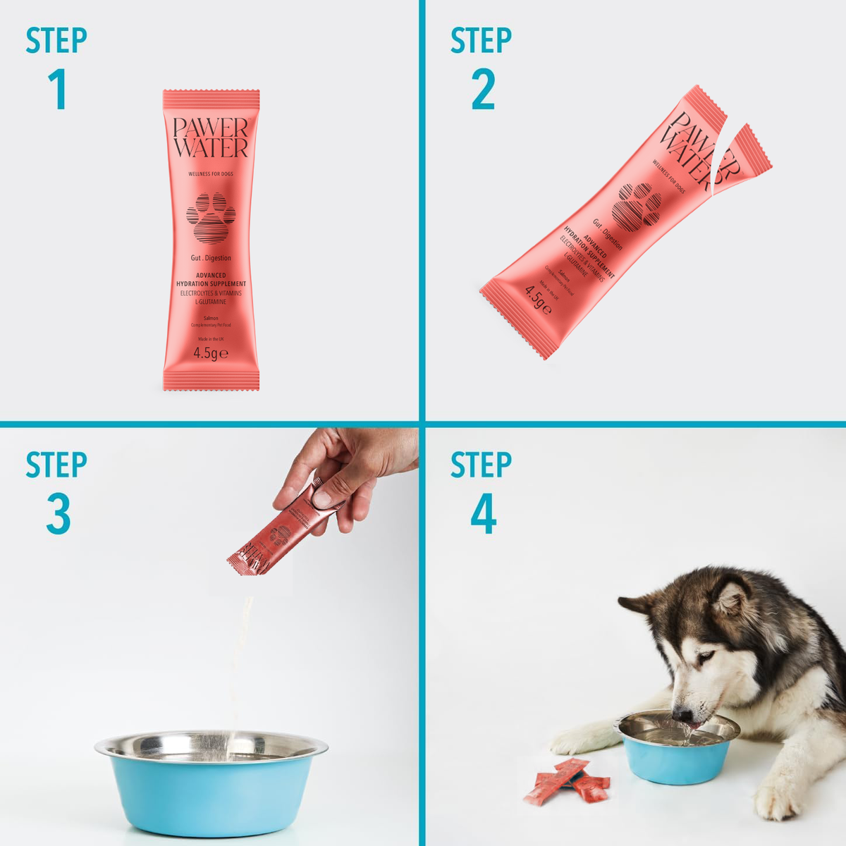 Pawer Water Gut Support (5-sticks Pouch)