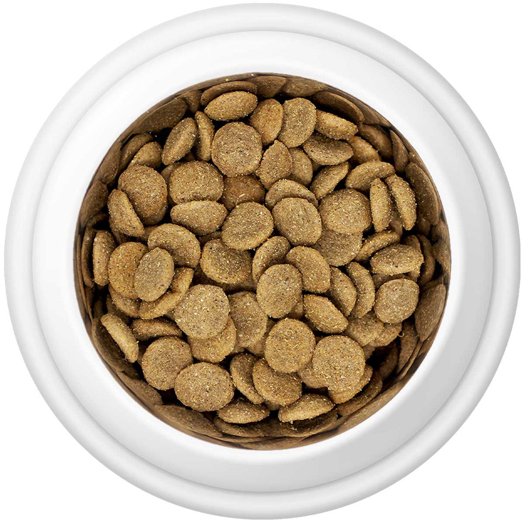 Country Pursuit Chicken & Rice Adult Dry Dog Food 15kg - Premium Range