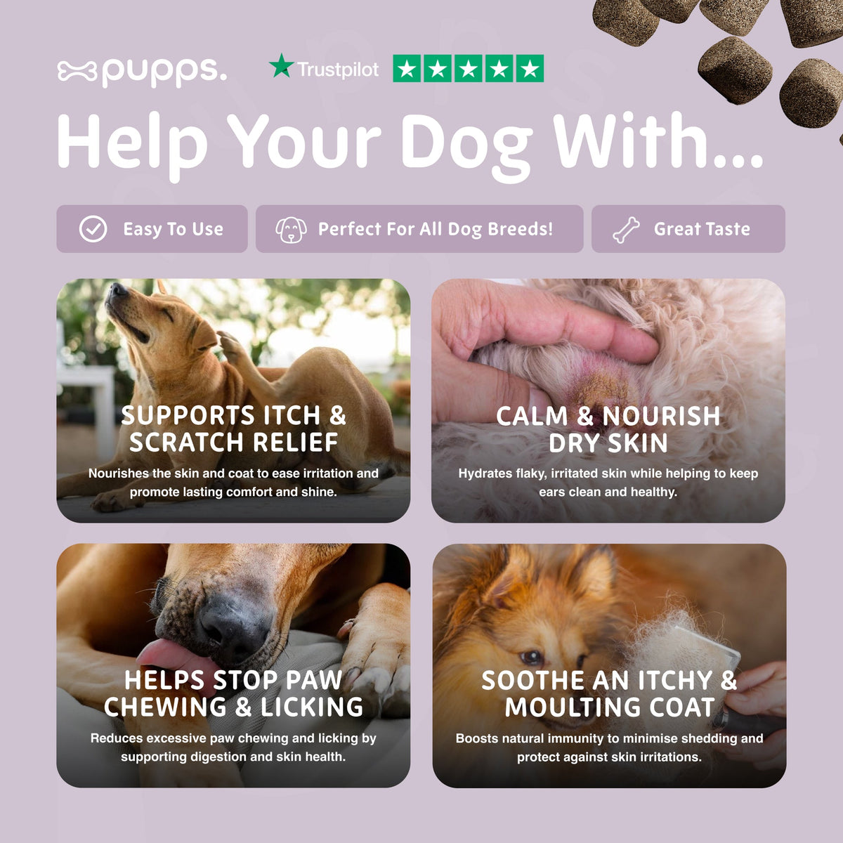 Itch Relief Treats