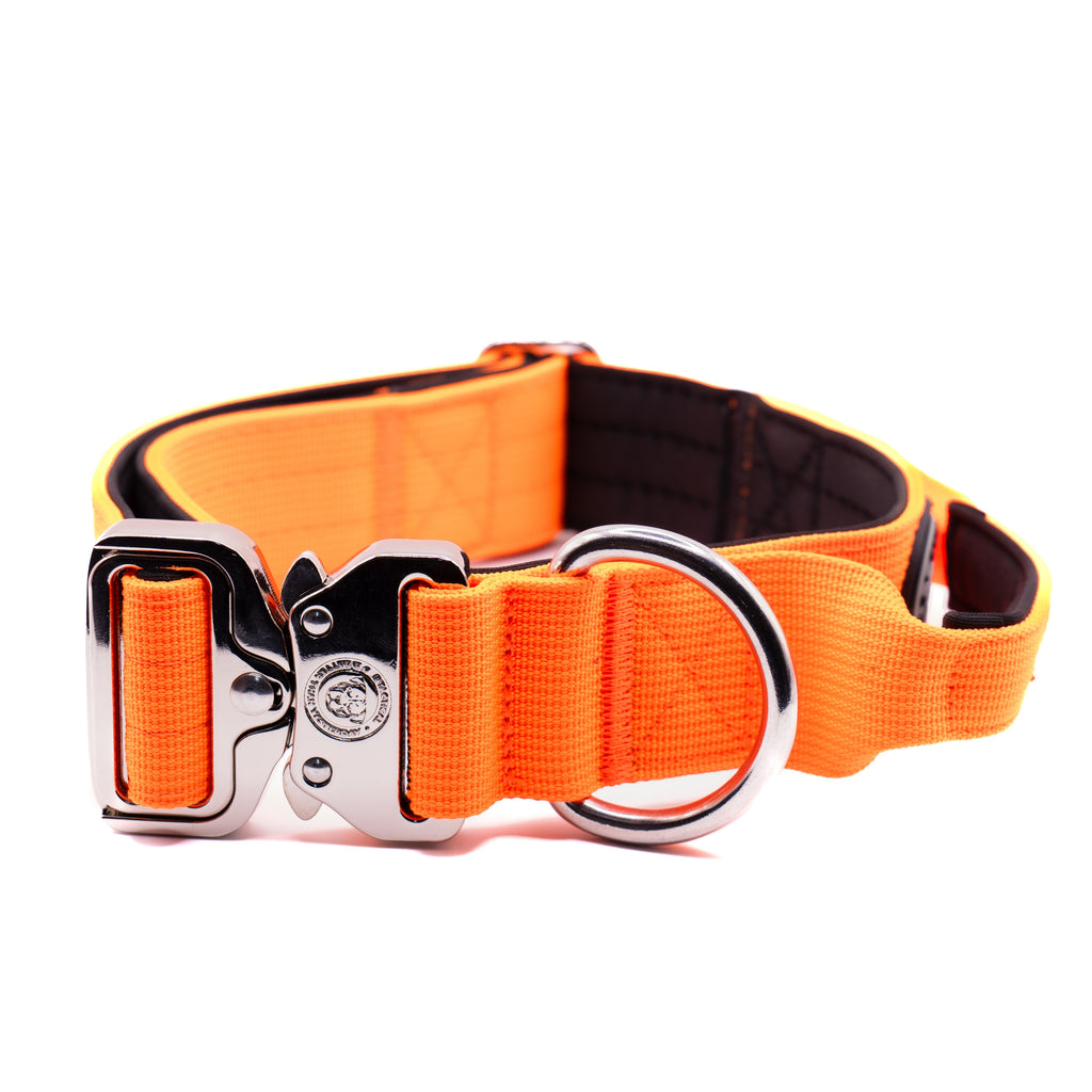 4cm Nylon BTactical Collar - Citrus Orange
