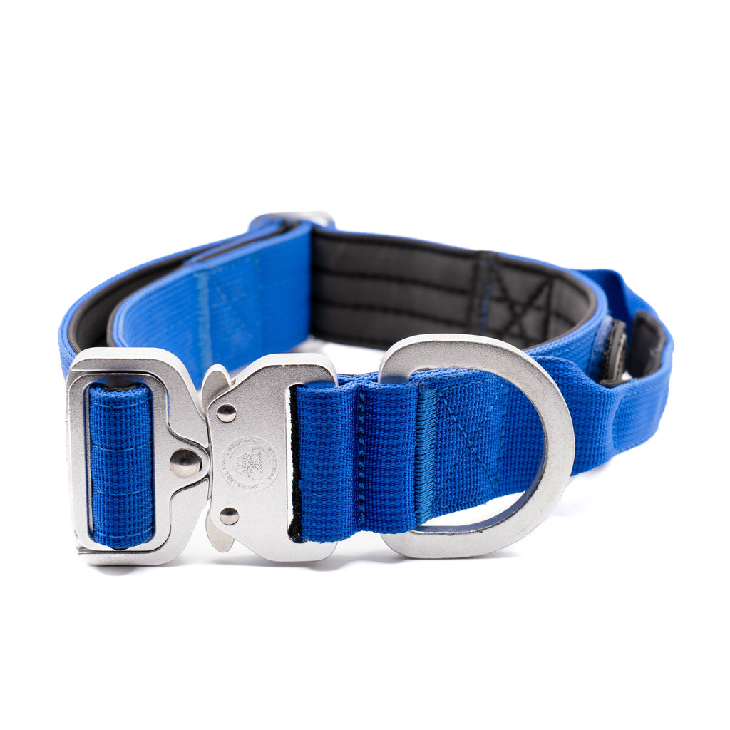 4cm Nylon BTactical Collar - Royal Blue