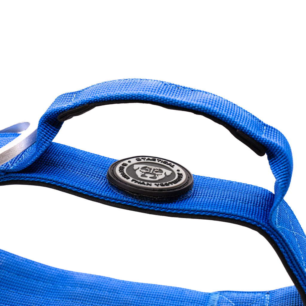 4cm Nylon BTactical™ Collar | Royal Blue