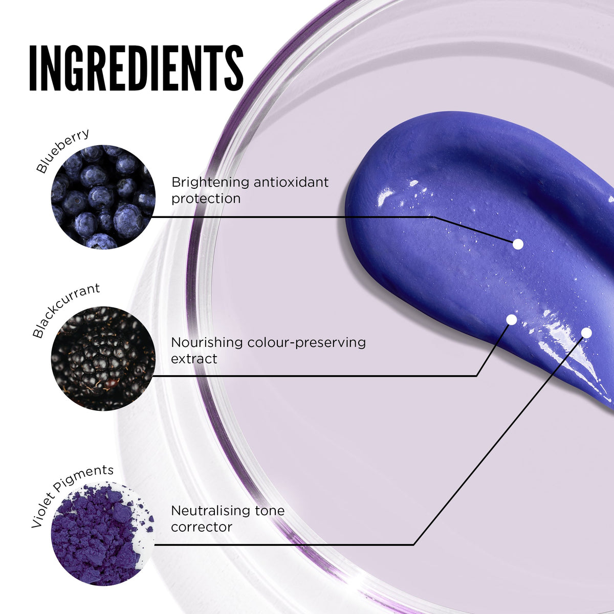 Purple Reign Conditioner - 250ml