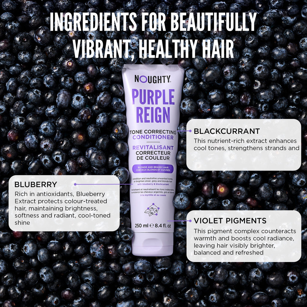Purple Reign Conditioner - 250ml
