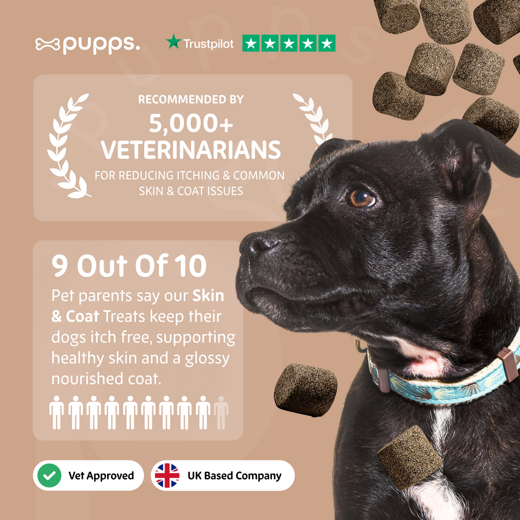 Skin & Coat Treats