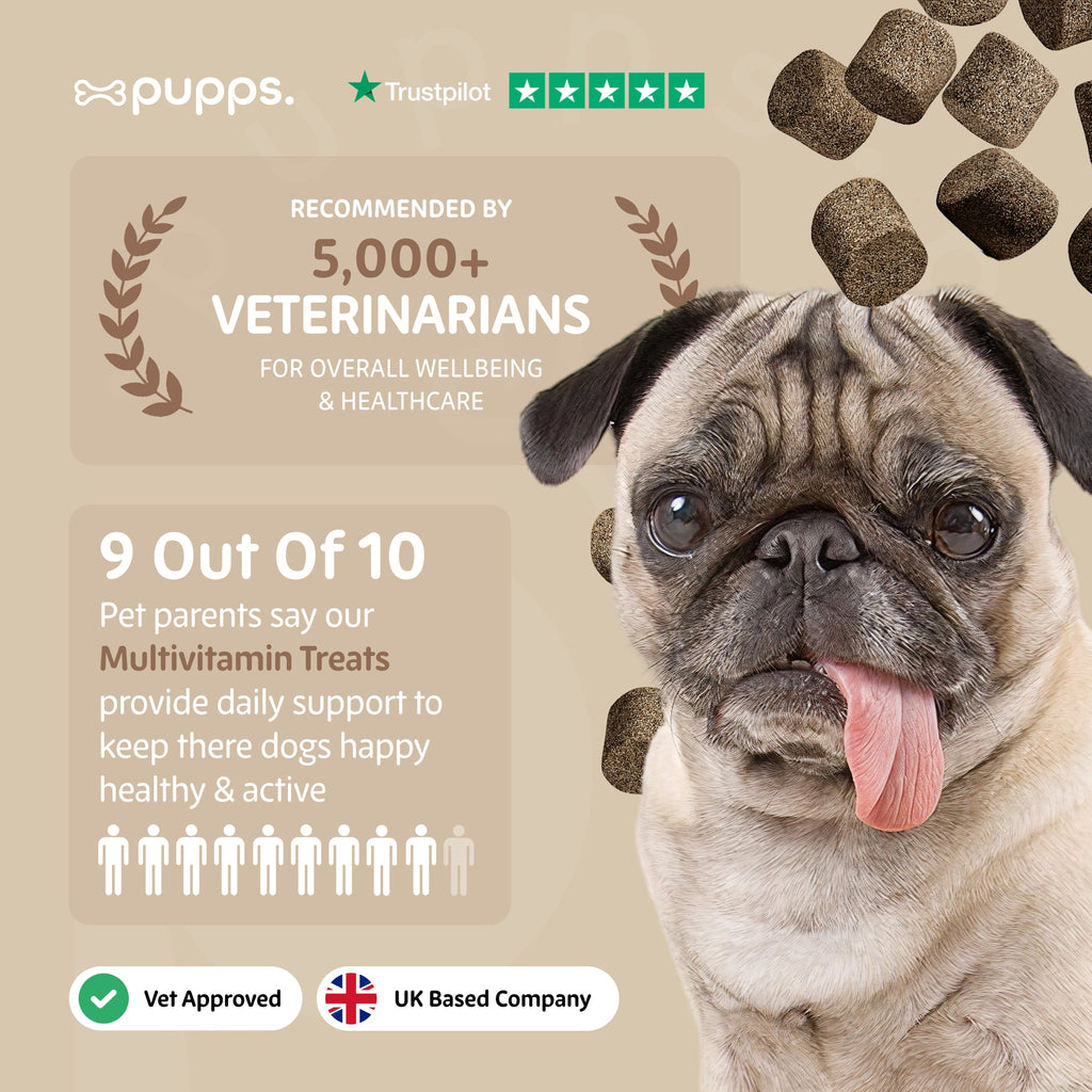 Multivitamin Treats