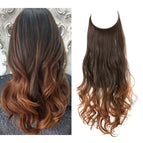 Dark brown coppery reflection