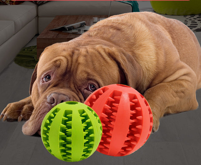 Pet Dog Toy Bite Resistant Molar Stick Puppy Ball - 𝓢𝓱𝓸𝓹𝓵𝓮𝓬𝔂