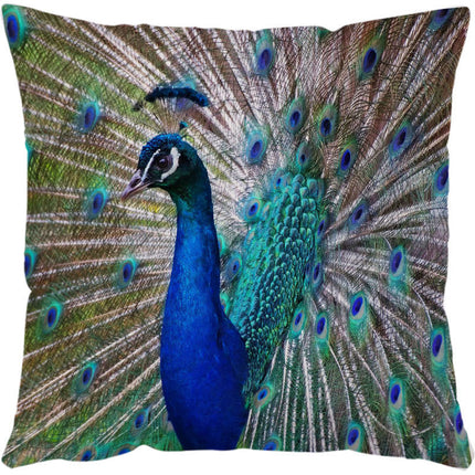 Cushion Covers Sea Turtle Printed Throw Pillow Cases For Home Decor Sofa Chair Seat - 𝓢𝓱𝓸𝓹𝓵𝓮𝓬𝔂