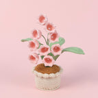 9 Pink Linglan Medium Pots