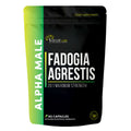 Fadogia Agrestis 20:1
