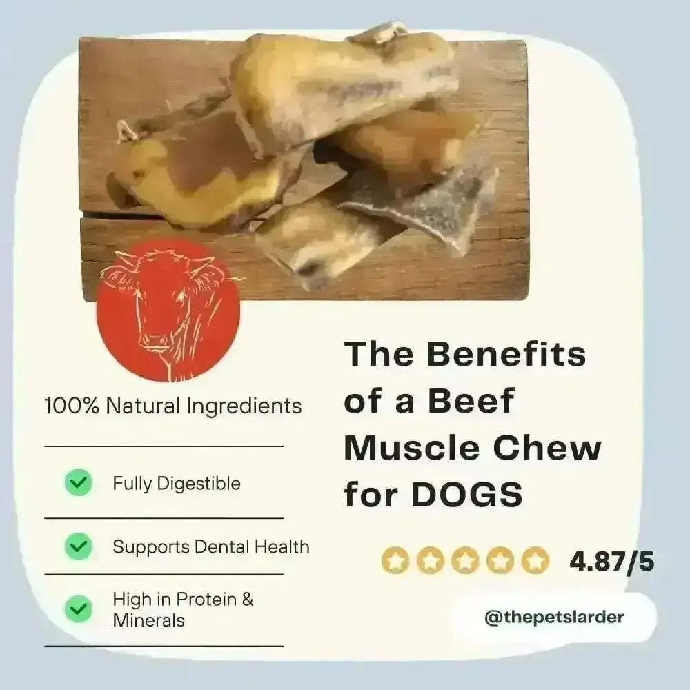 Beef Muscle Chew Natural Meat Chew For Dogs