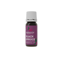 Black Spruce Essential Oil
