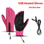 043 Rose Red