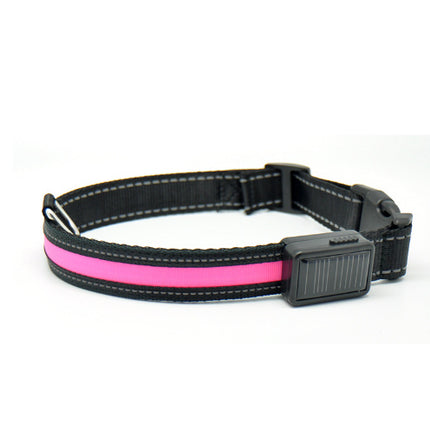 Fluorescent dog collar - 𝓢𝓱𝓸𝓹𝓵𝓮𝓬𝔂