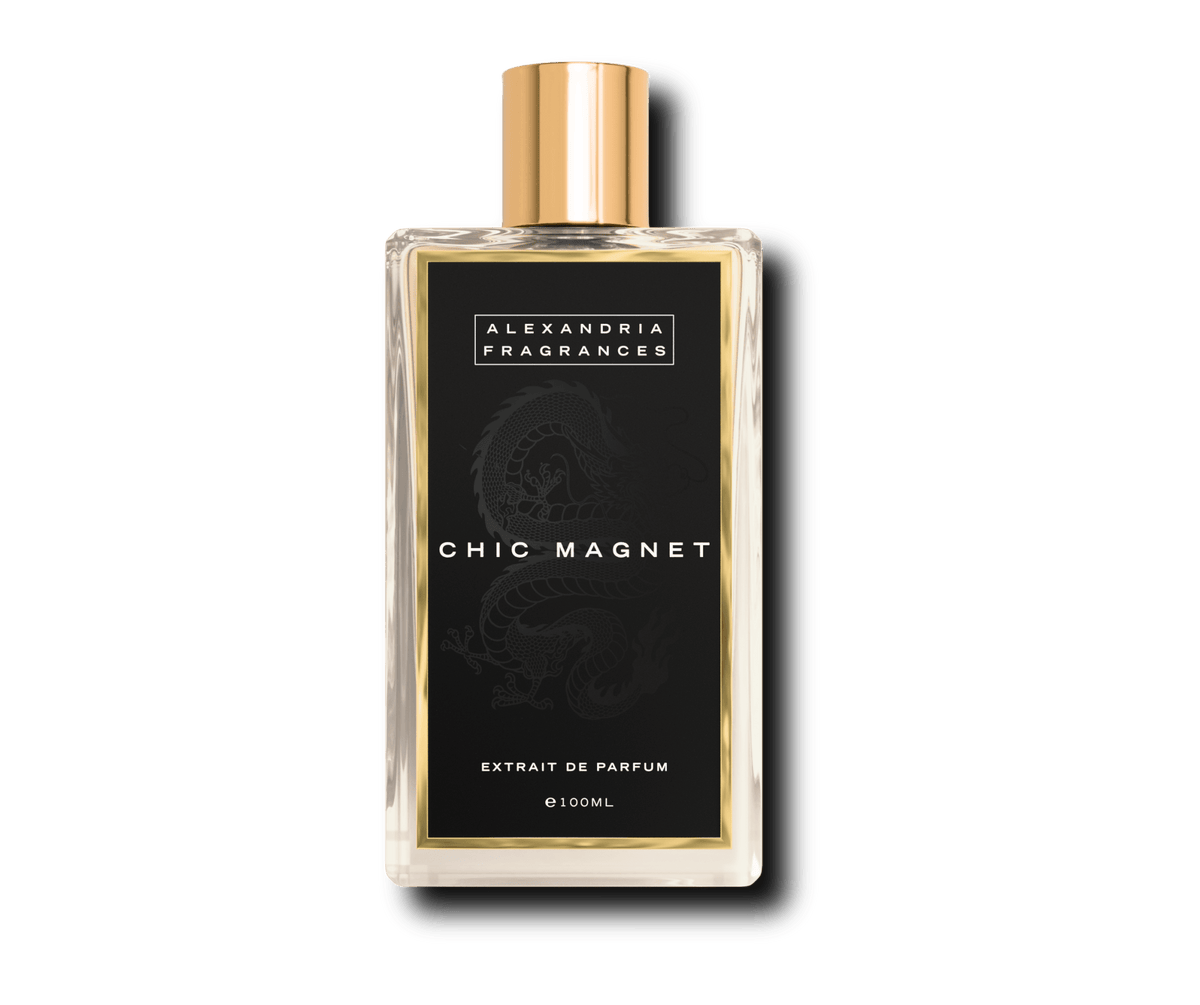 Chic Magnet Inspired By Magnetism Escada