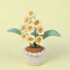 9 Yellow Linglan Medium Pots