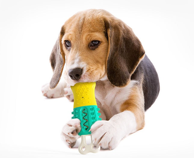 Summer Cooling Cleaning  Care  Teeth Pet Chewing Supplies - 𝓢𝓱𝓸𝓹𝓵𝓮𝓬𝔂