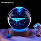 Whale 8CM