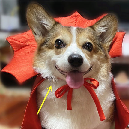 Halloween Pet Costumepet Halloween Cape Vampire King - 𝓢𝓱𝓸𝓹𝓵𝓮𝓬𝔂