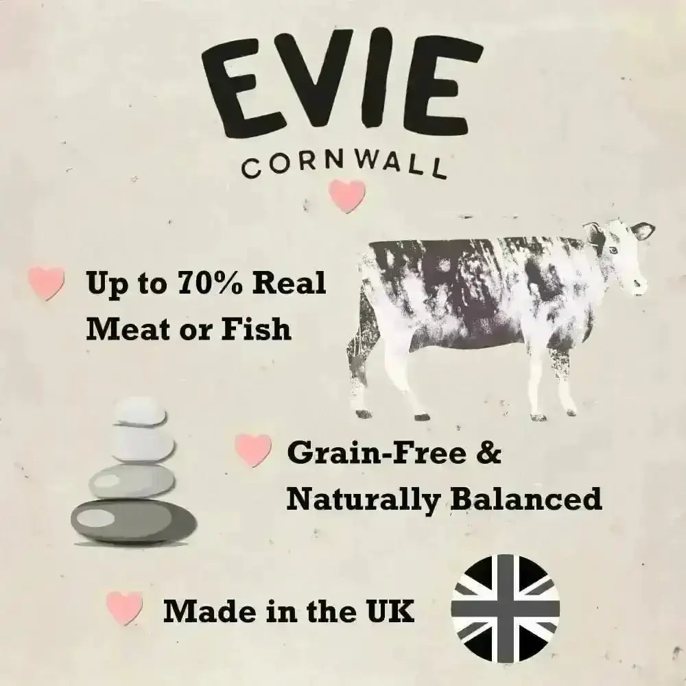 Evie Natural Dry Cat Food Salmon with Whitefish