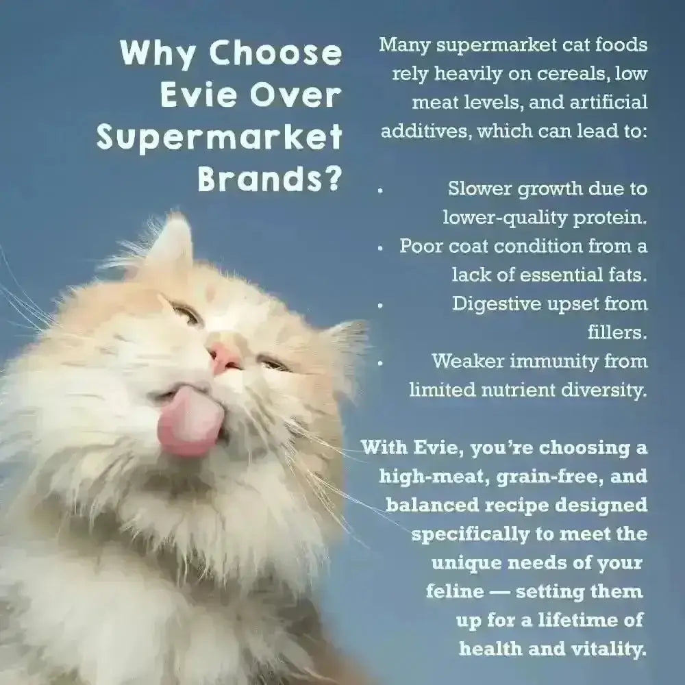 Evie Natural Dry Cat Food Salmon with Whitefish