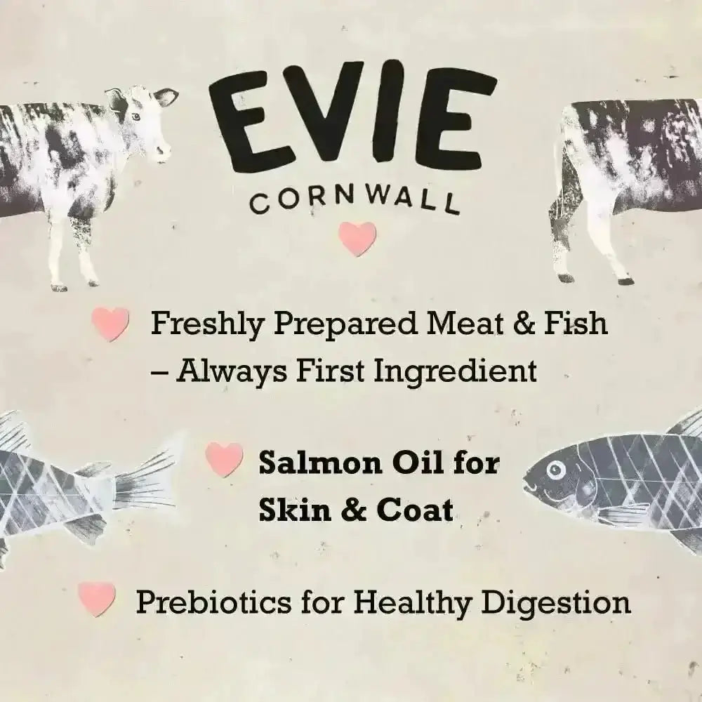 Evie Natural Dry Cat Food Salmon with Whitefish