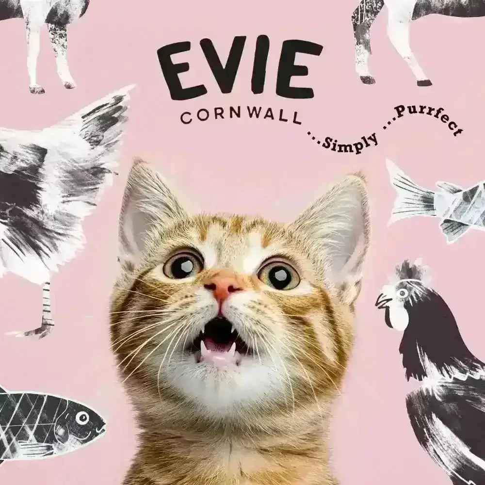 Evie Natural Dry Cat Food Turkey With Chicken