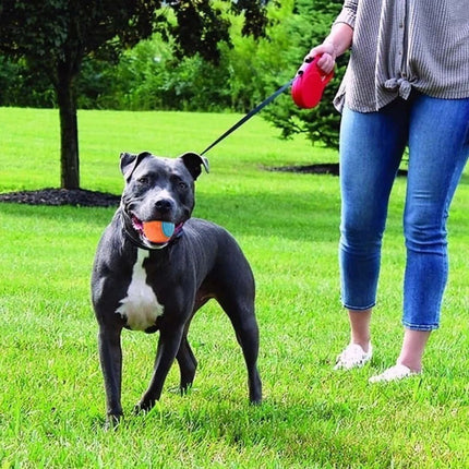 Pet Toy Dog Molar Long Lasting Sounding Training Ball - 𝓢𝓱𝓸𝓹𝓵𝓮𝓬𝔂