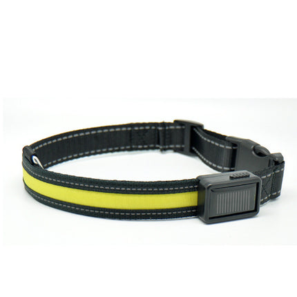 Fluorescent dog collar - 𝓢𝓱𝓸𝓹𝓵𝓮𝓬𝔂