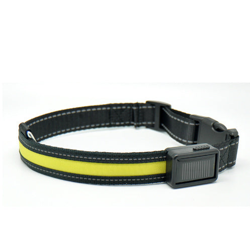 Fluorescent dog collar - 𝓢𝓱𝓸𝓹𝓵𝓮𝓬𝔂
