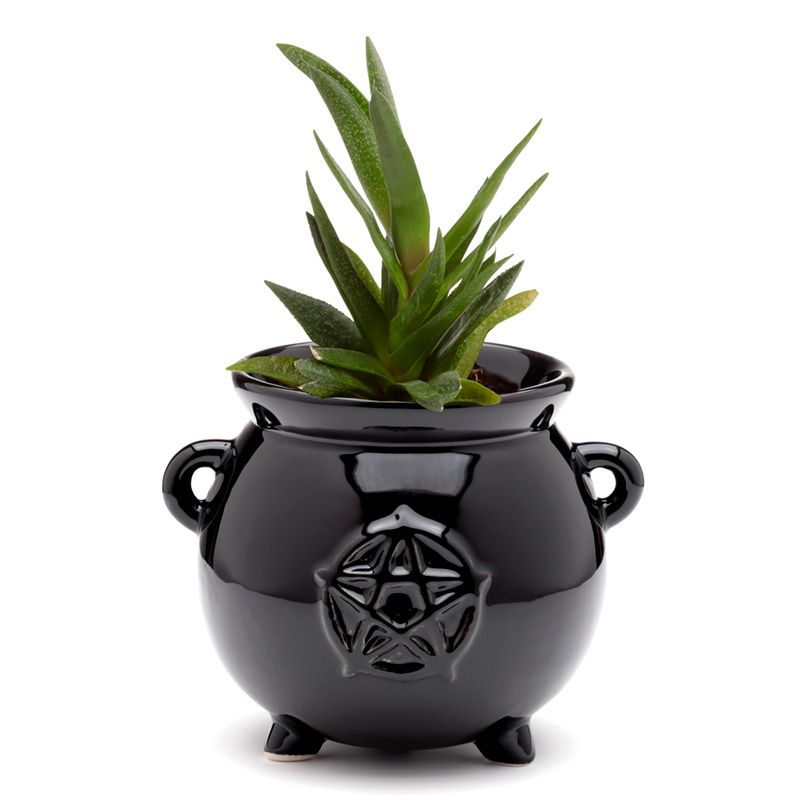 Gothic Gifts Cauldron Shaped Indoor Plant Pot