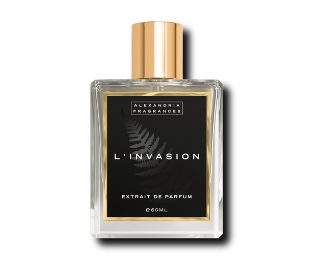 L’INVASION Inspired By MDCI's Invasion Barbare