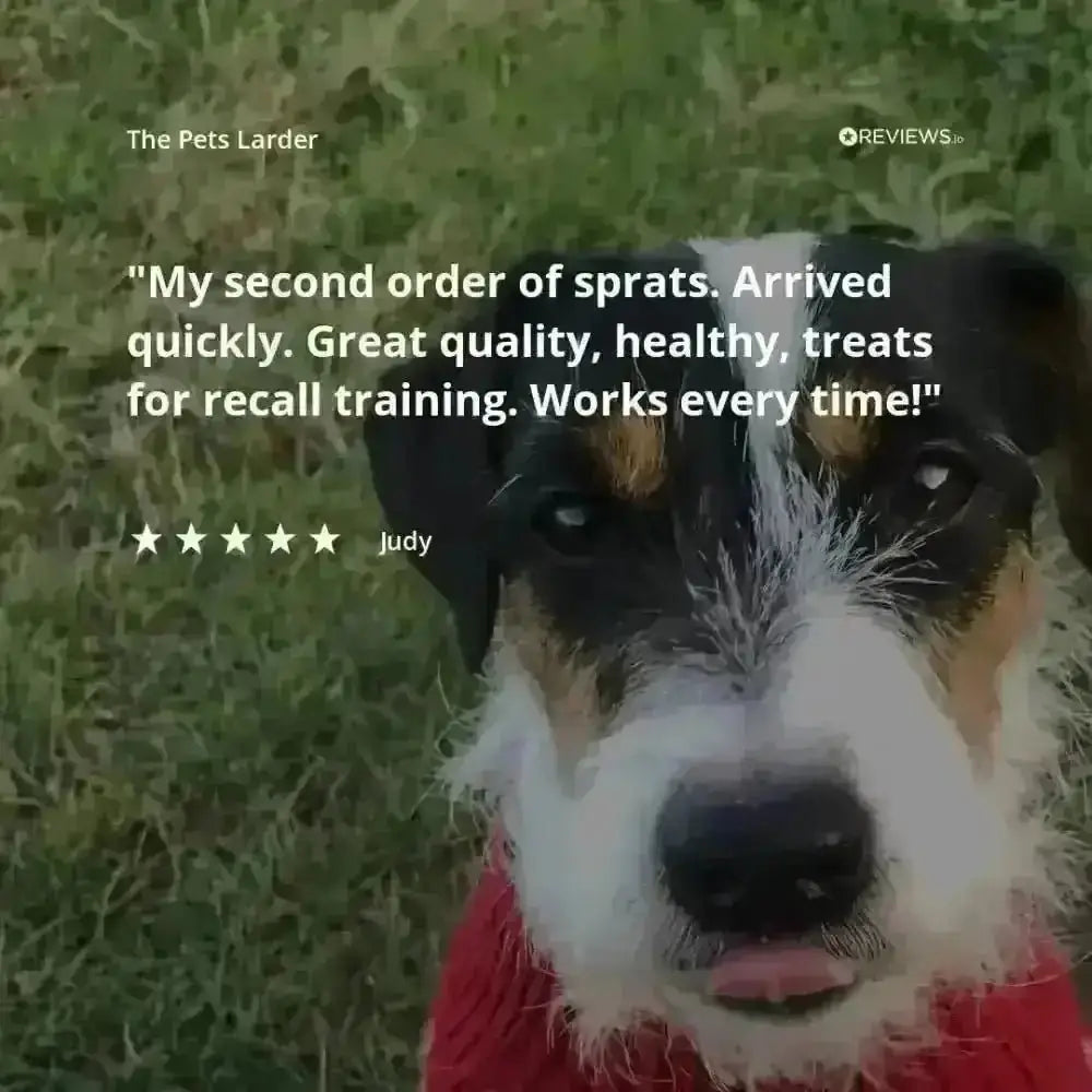 Pork Crunch Natural Meat Chew For Dogs