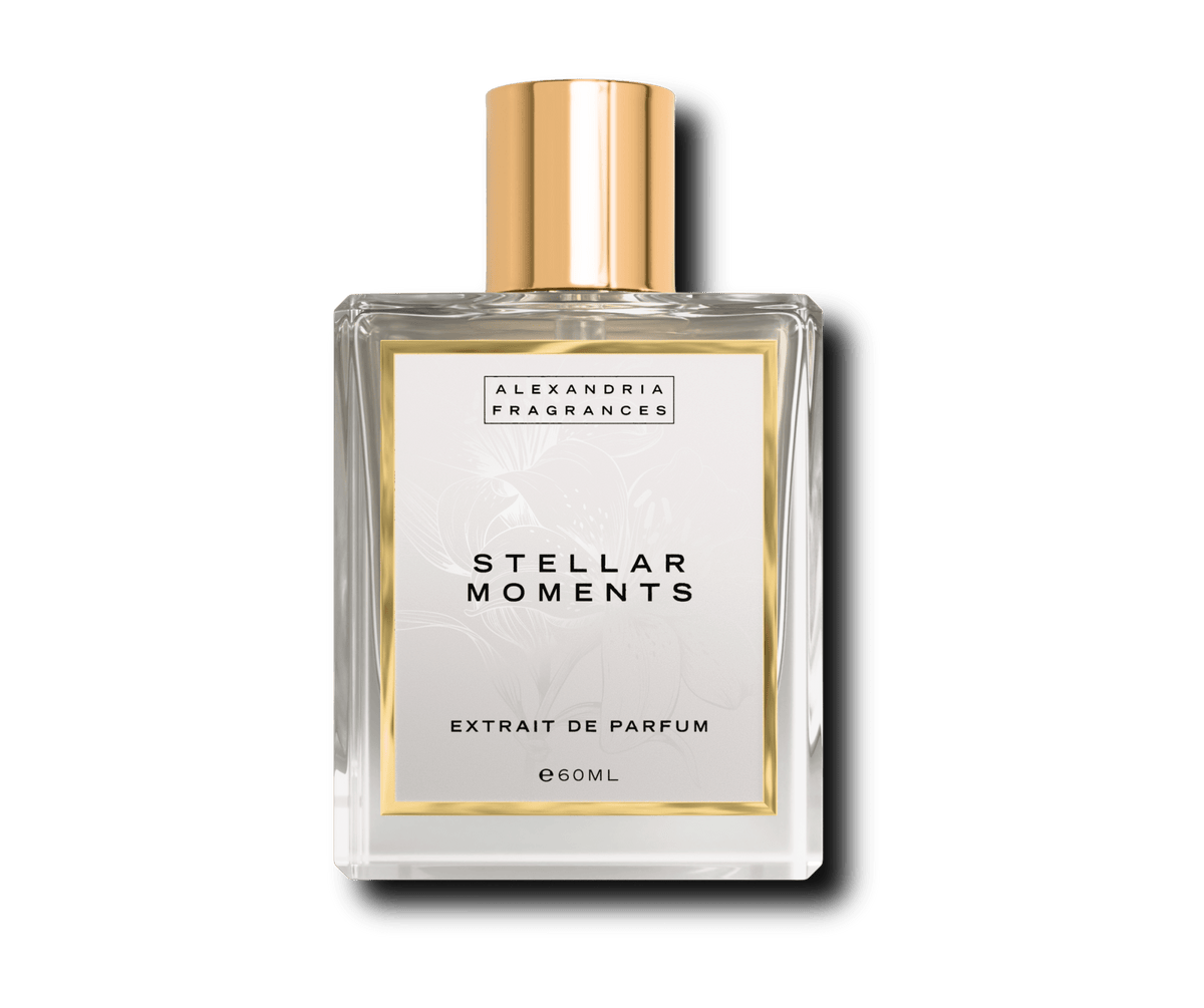 Stellar Moments Inspired by Stellar Times Louis Vuitton
